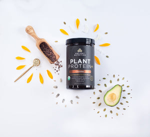 Plant Protein+ Chocolate Ancient Nutrition